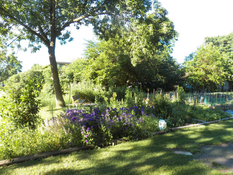 Courtyard ReillyJoseph offers low apartments in Southeastern